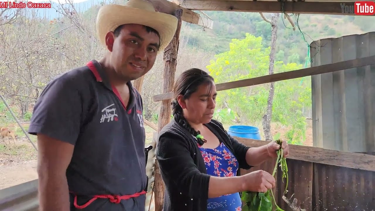 ✅️🌱😀👌Mientras le damos agua y de comer a los animales mamá  nos consiente con un rico quelite😃😋
