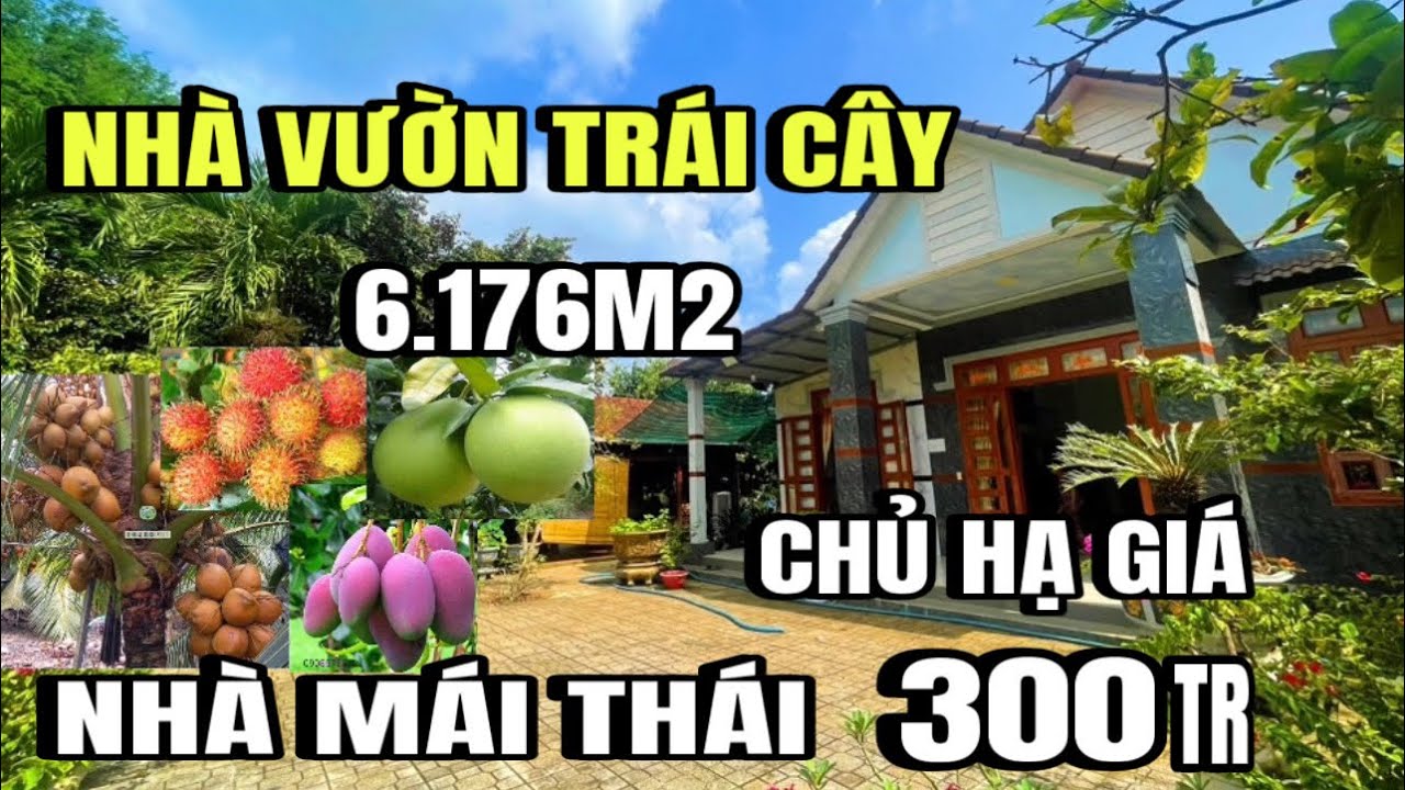 Chính chủ giảm giá bán gấp, nhà vườn trái cây, thổ cư, sát lộ nhựa, Huyện Cẩm Mỹ cũ, Đồng Nai