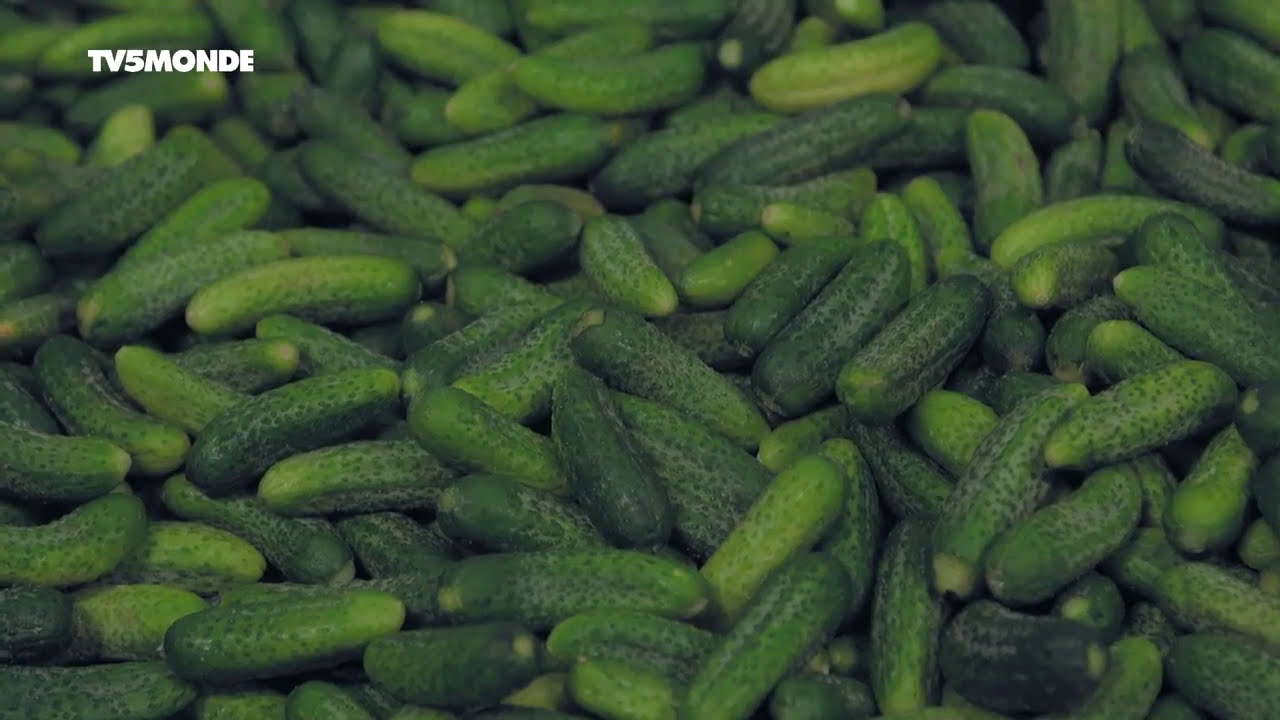 Épicerie fine : Cornichons et Chablis de l'Auxerrois