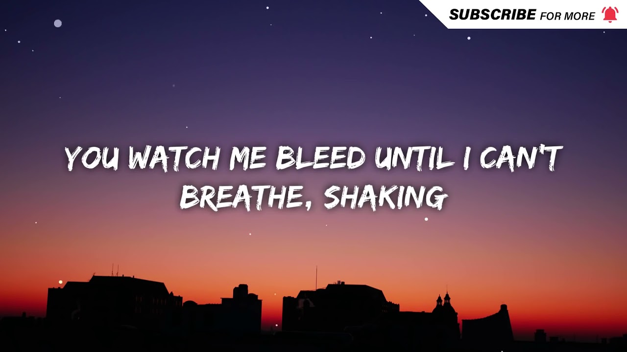 Shawn Mendes - Stitches (Lyrics)
