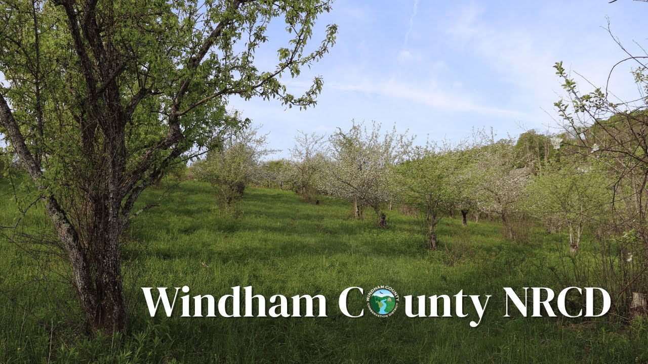 What is Windham County NRCD?