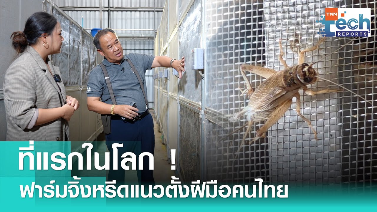 นวัตกรรมฟาร์มจิ้งหรีดแนวตั้งฝีมือคนไทย ที่แรกในโลก ! | TNN Tech Reports Weekly I 9 ส.ค. 68