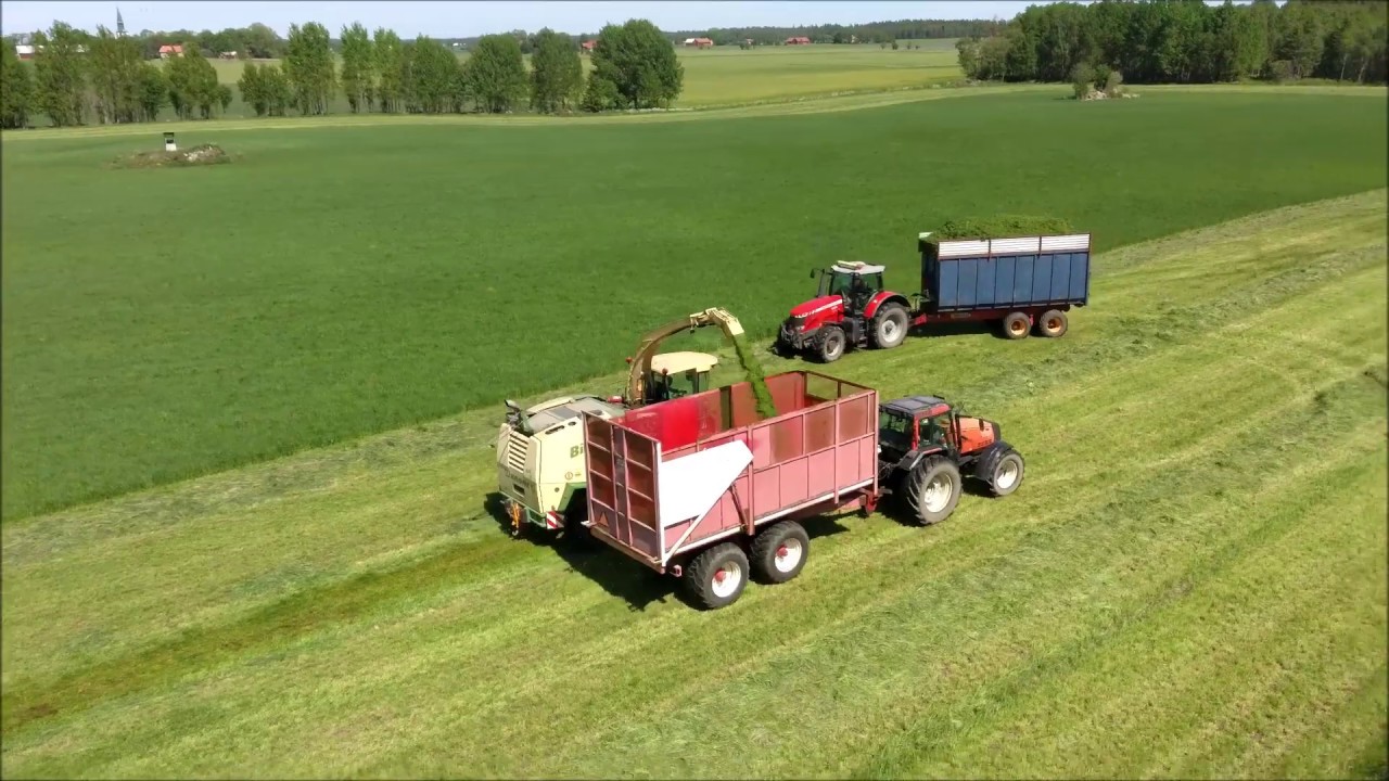 Grass Silage Gökstorp [Sweden]