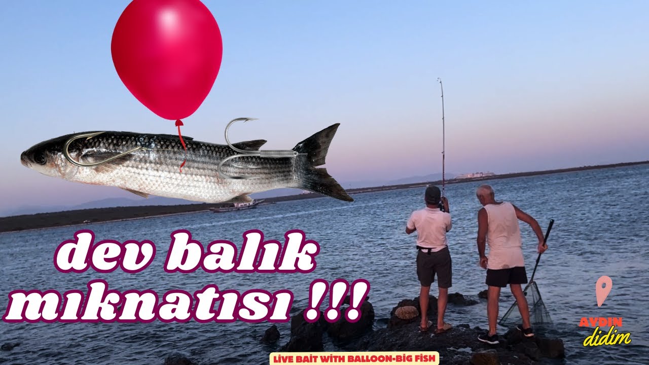 Bu Yöntemle BÜYÜK BALIK Tut  / Balon Yöntemi İle Balik Avi / Didim Balık Avı 2024