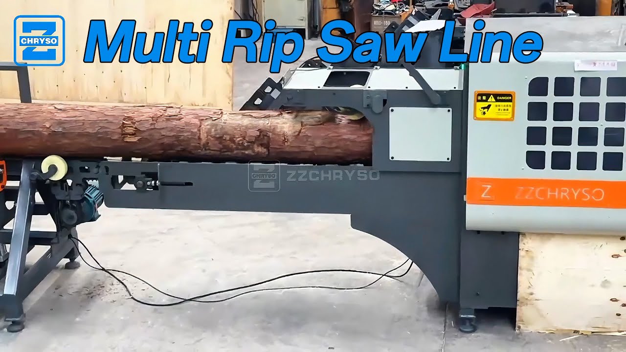 ZZCHRYSO Multi-Rip Saw Line Trial for Poland – Full Log-to-Clear Production