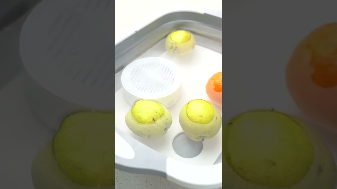 Mini Multifunctional Fruit Vegetable Cleaning Machine