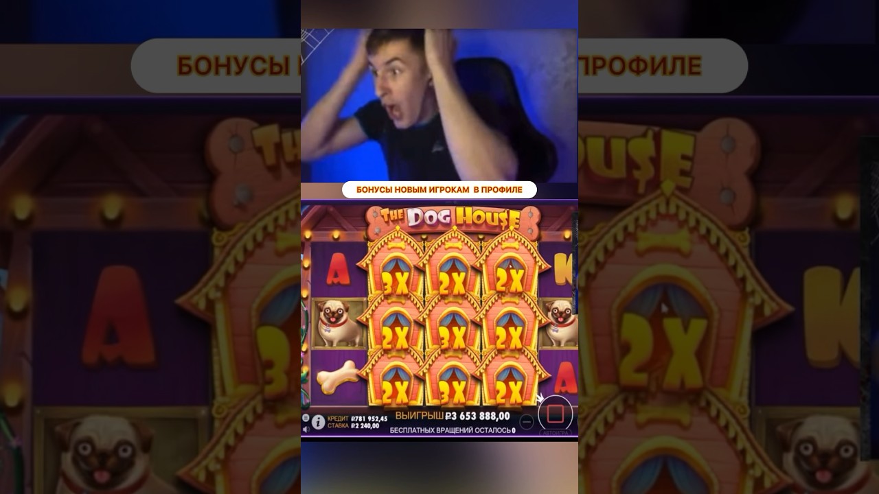НЕРЕАЛЬНЫЙ ЗАНОС В СОБАКАХ😨😱 #заносынедели #максвин