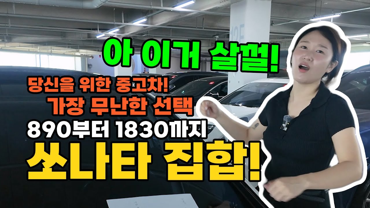 쏘나타 중고차 만큼 무난하고 가격방어 잘되고 이런차 있습니까??