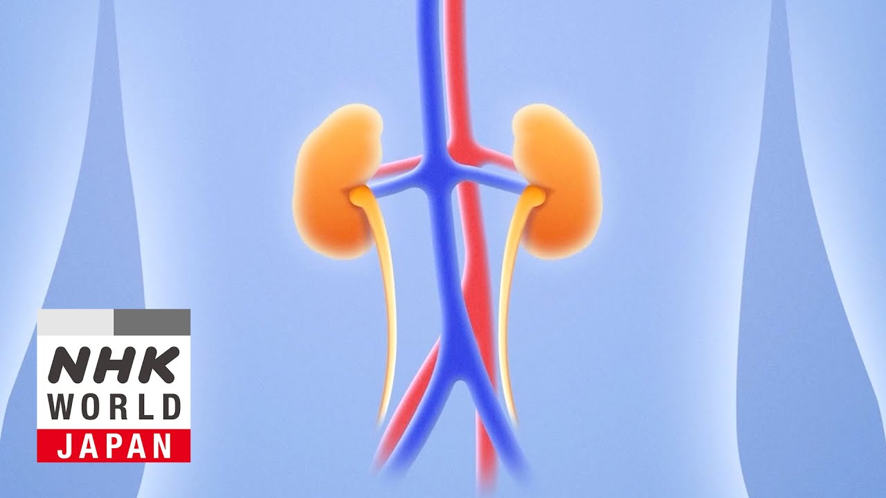 Things You Should Do To Prevent CKD - Medical Frontiers