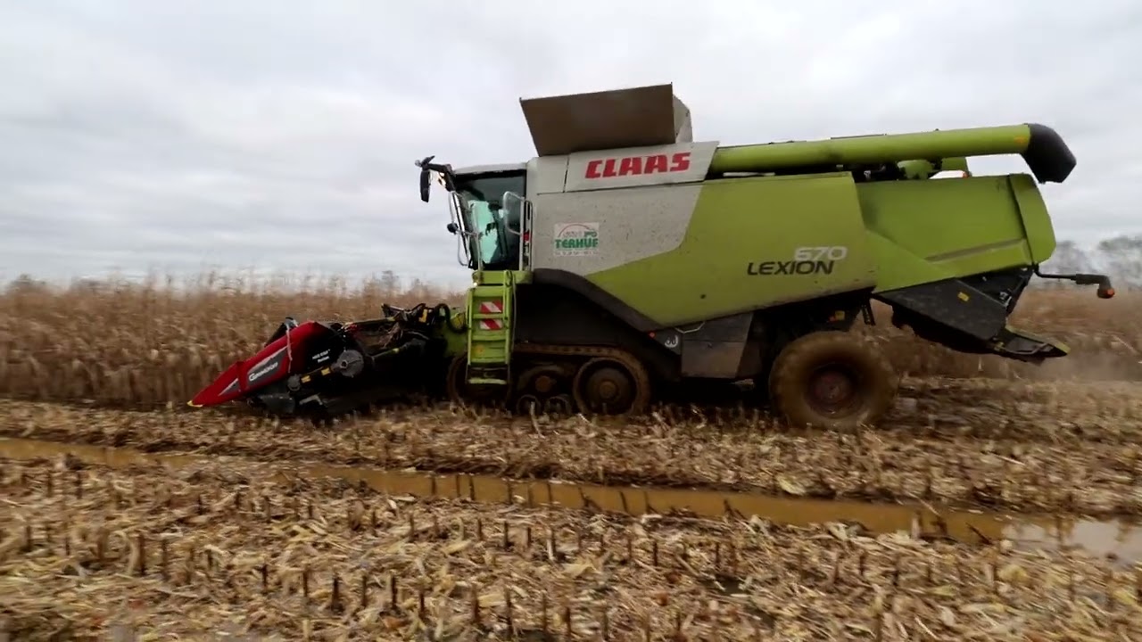 Claas Lexion 670 tt durch Wasser beim Mais dreschen .