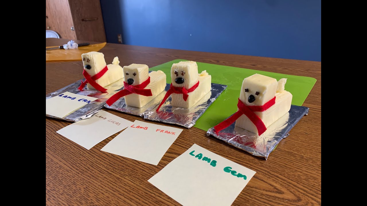 Butter Lamb 2020