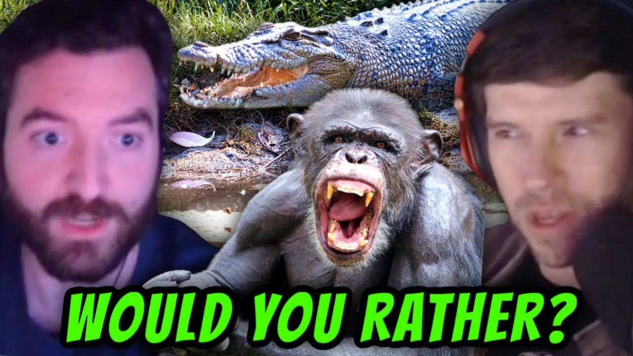 Would You Rather: Crocodile Pit vs. Chimp Closet