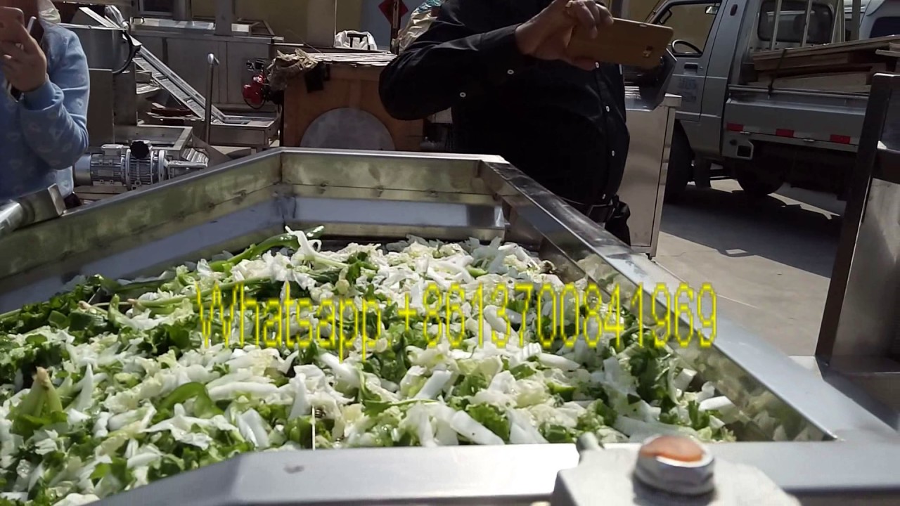 Cassava Leaf washer|Vegetable washer--   +8613700841969