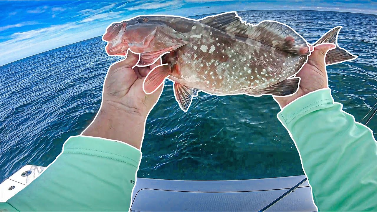 INSANE OFFSHORE FISHING (Catching a ton of fish offshore Sanibel)