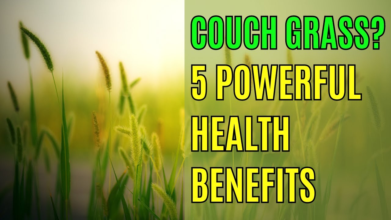 The Little Known Health Benefits of Couch Grass