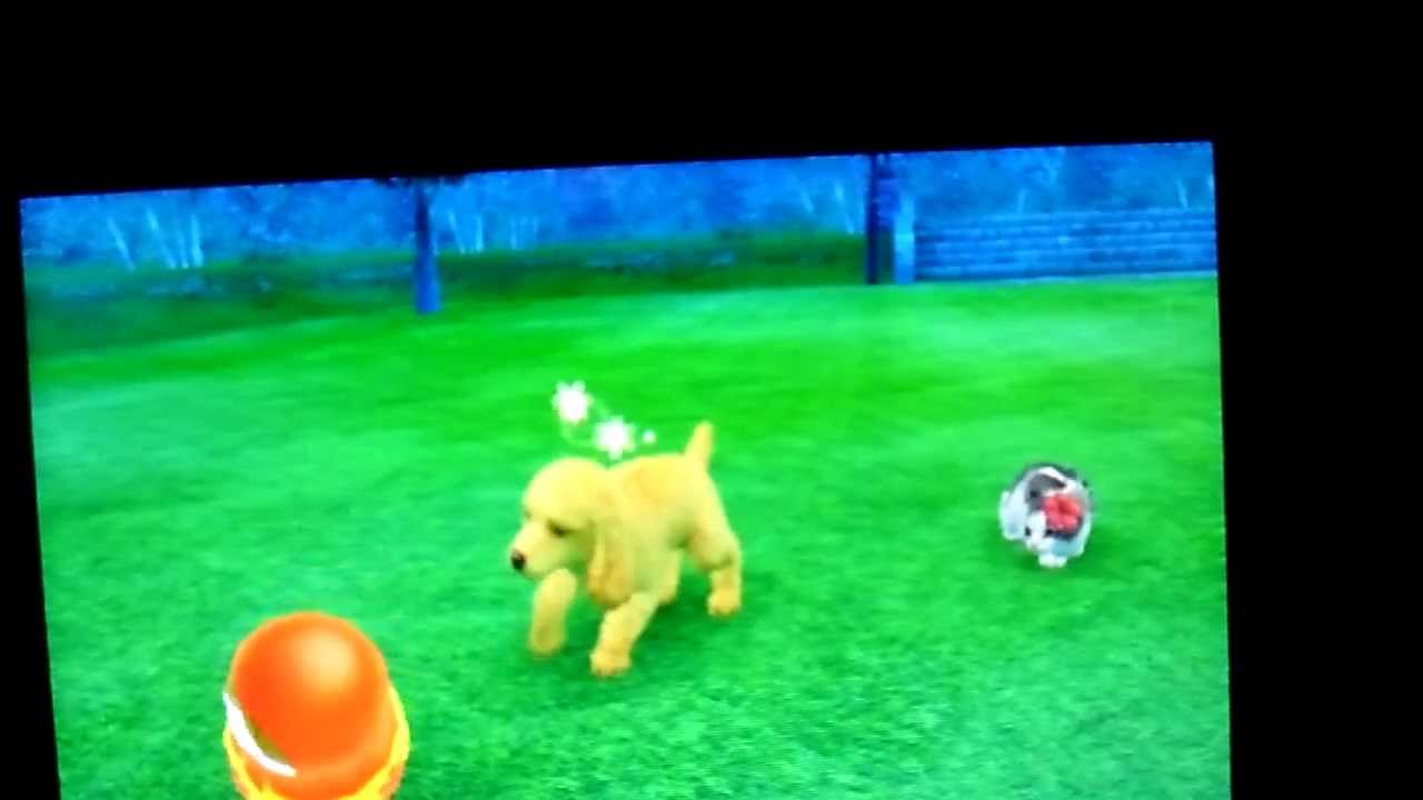 Nintendogs + Cats: Spotpass 2 - Harry S. Truman