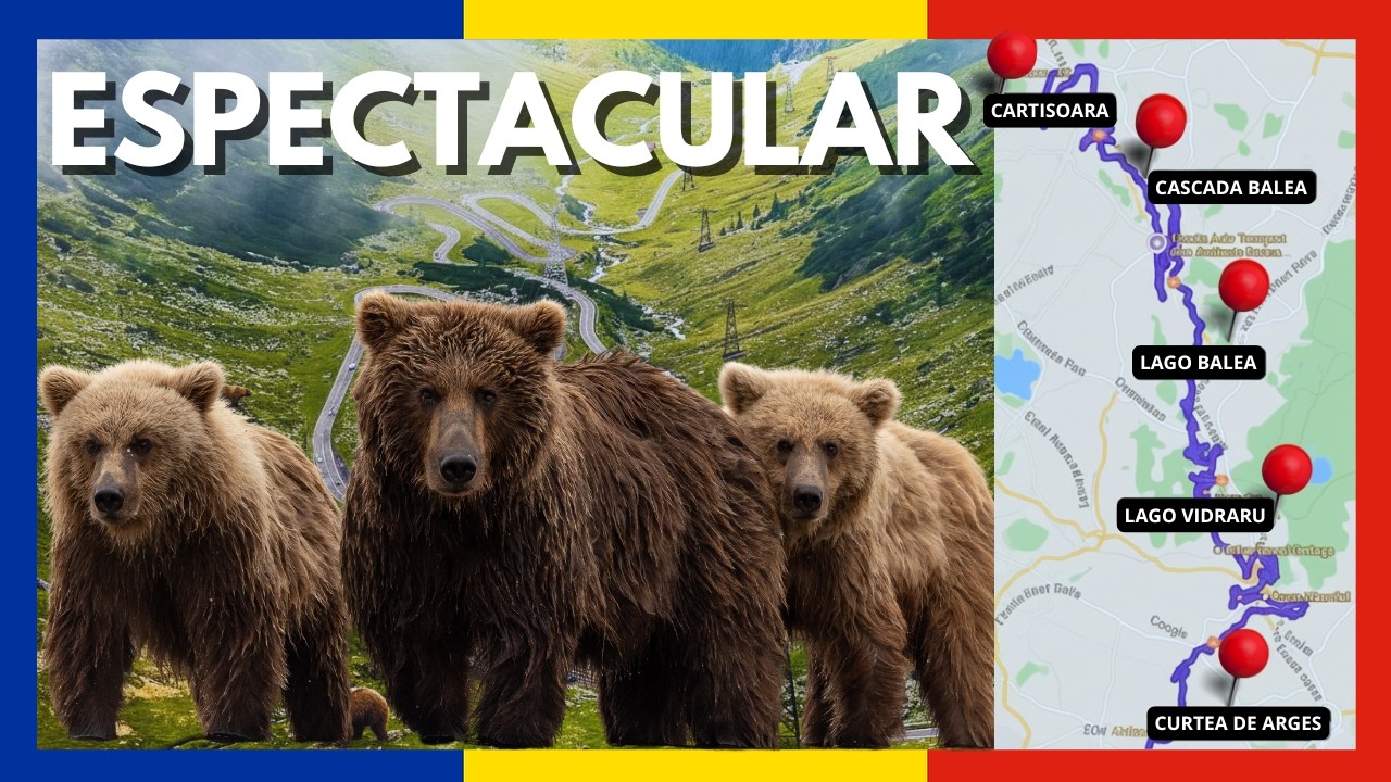 LA RUTA M&Aacute;S ESPECTACULAR de Europa: TRANSFAGARASAN con OSOS y TODOS los DATOS