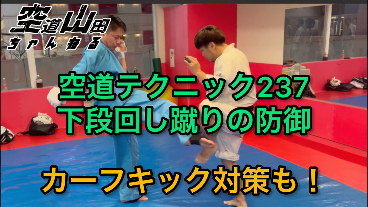 【武道】空道テクニック237「下段回し蹴りの防御」【格闘技】