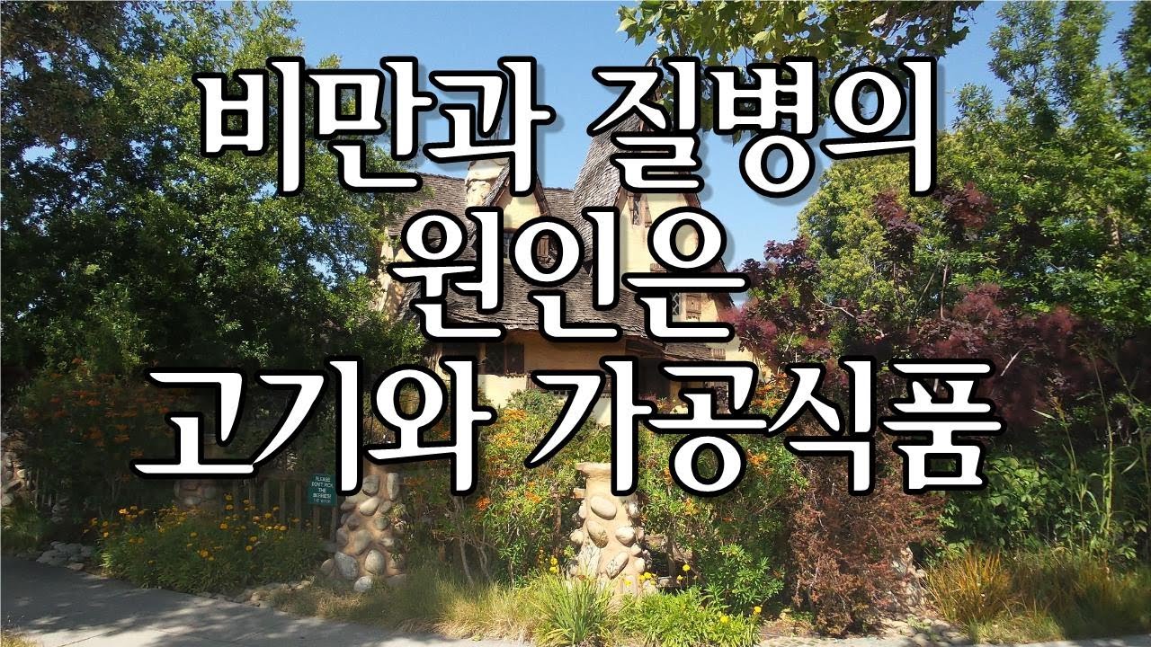 비만의 종말