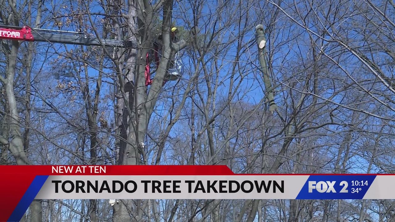 Forest Park still in recovery months after May tornado