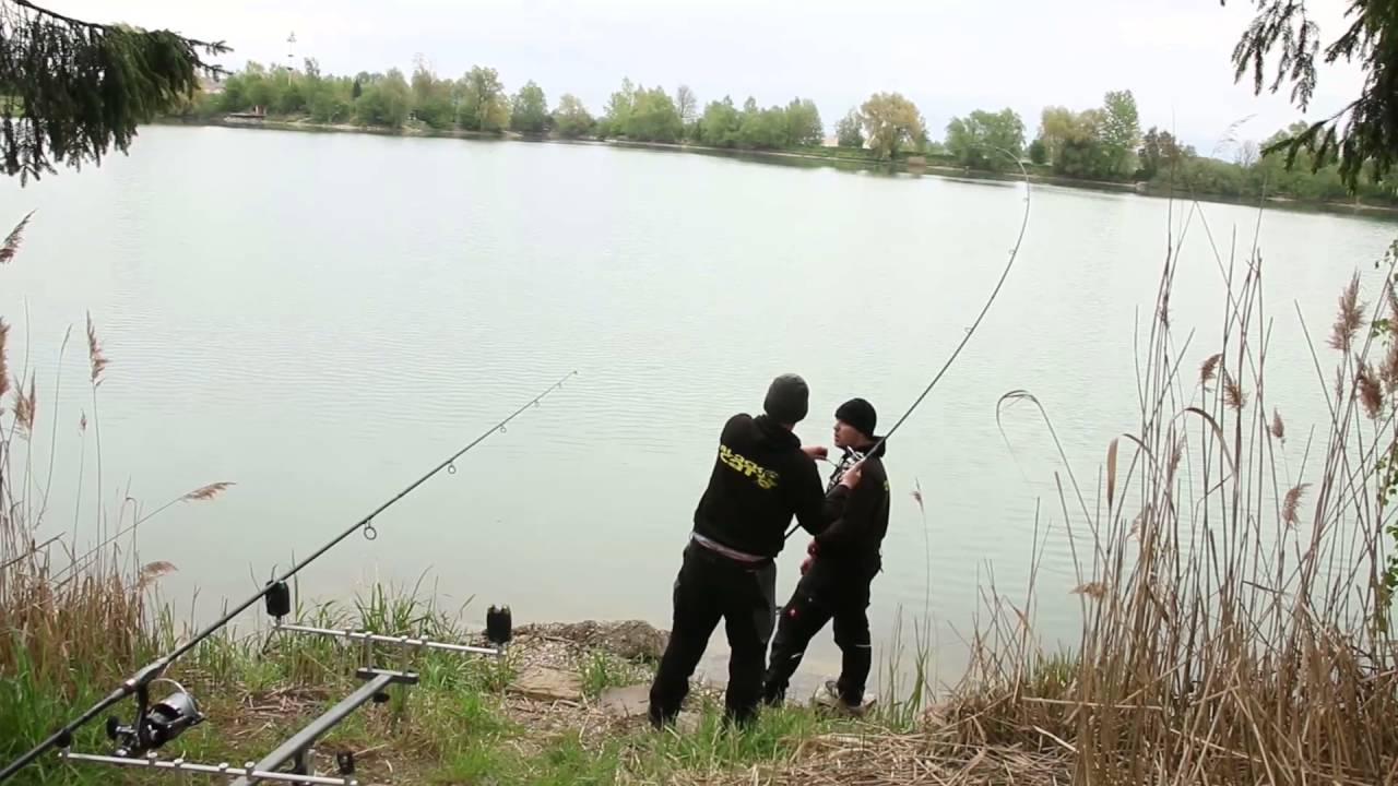 Karpfenangeln am See // Bavarian Carp Crew // Karpfenangeln in Bayern