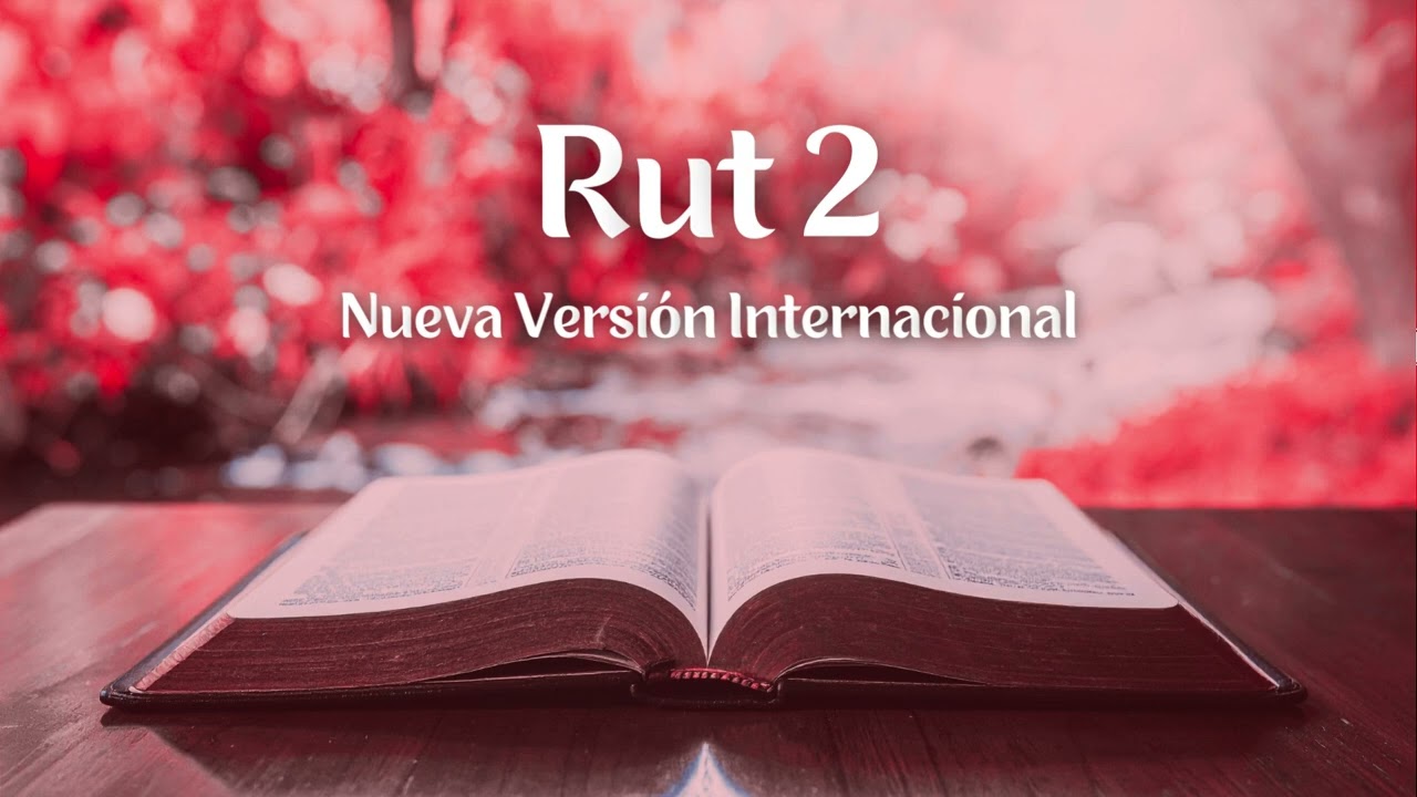 Rut 2 - Nueva Versión Internacional | Biblia en audio
