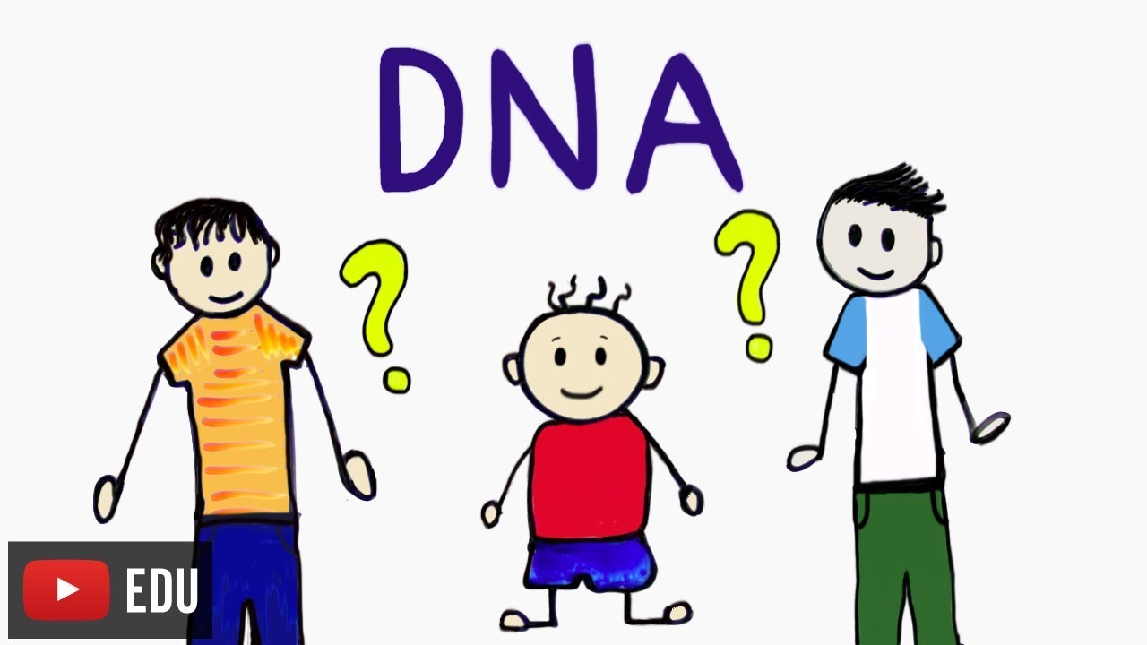 Como é feito o teste de paternidade? | #InstanteBiotec 49