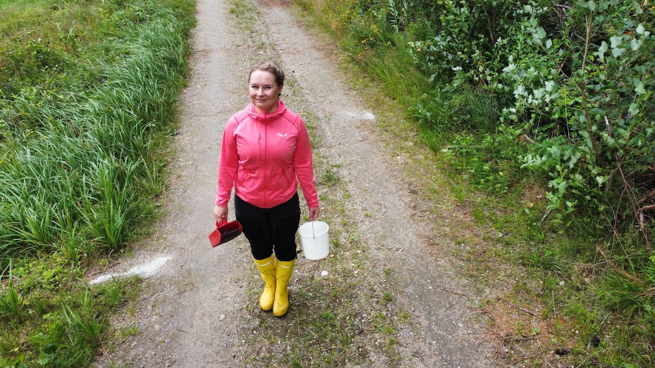Imperfekti, verbityyppi 2