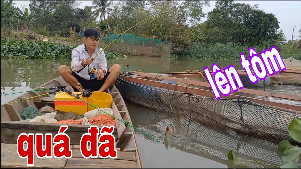 Câu Tôm Sông Tiền , Cần Thủ Xanh Mặt Khi Cá Khủng Dính Câu # SĂN BẮT ĐỒNG THÁP #