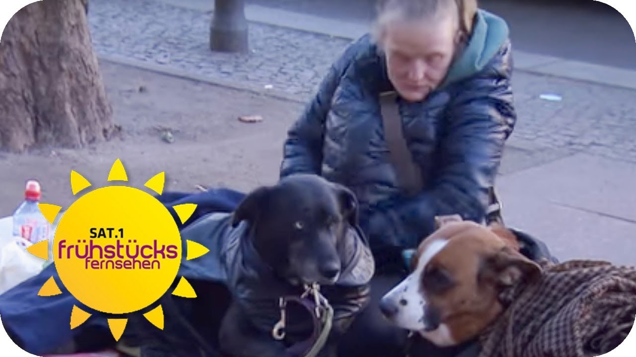 OBDACHLOSE als HUNDEHÄLTER: TIERQUÄLEREI oder VORZEIGEBESITZER? | SAT.1 Frühstücksfernsehen | TV