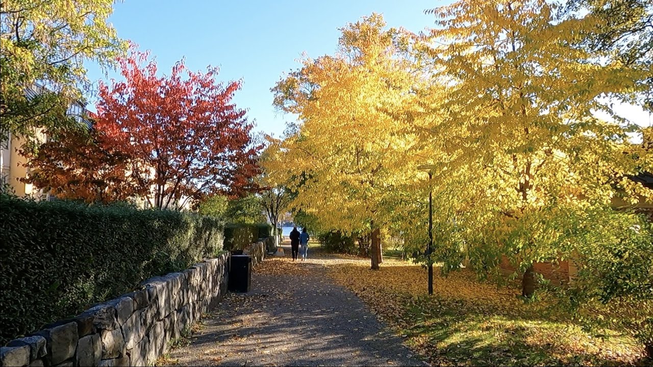 Stockholm Skeppsholmen and  Kastellholmen (Near The Royal Palace), Autumn Colours 