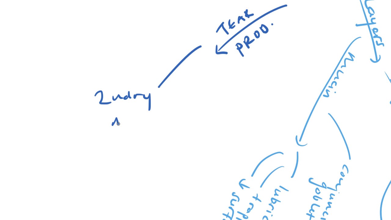 The Tear Film