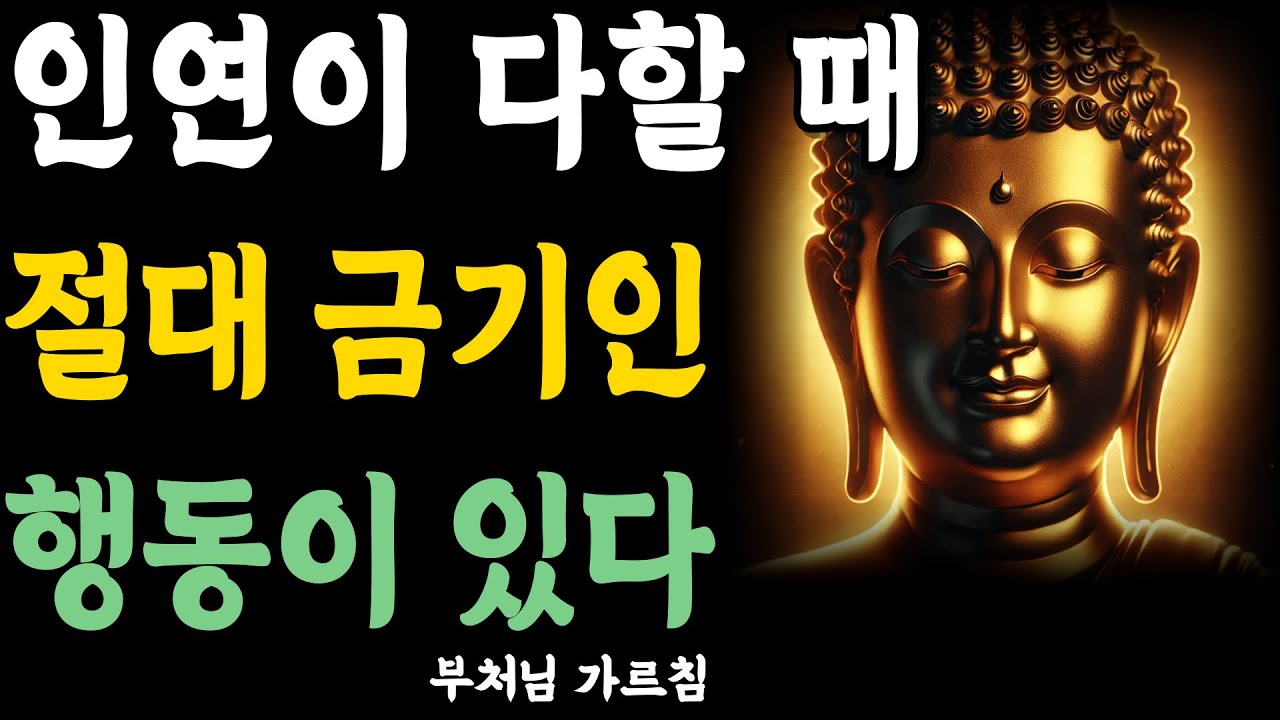 인연이 멀어질 때 절대 하지 말아야 할 행동 | 자면서 듣는 부처님 말씀 | 석가모니 | 불교 명언 | 불교 오디오북