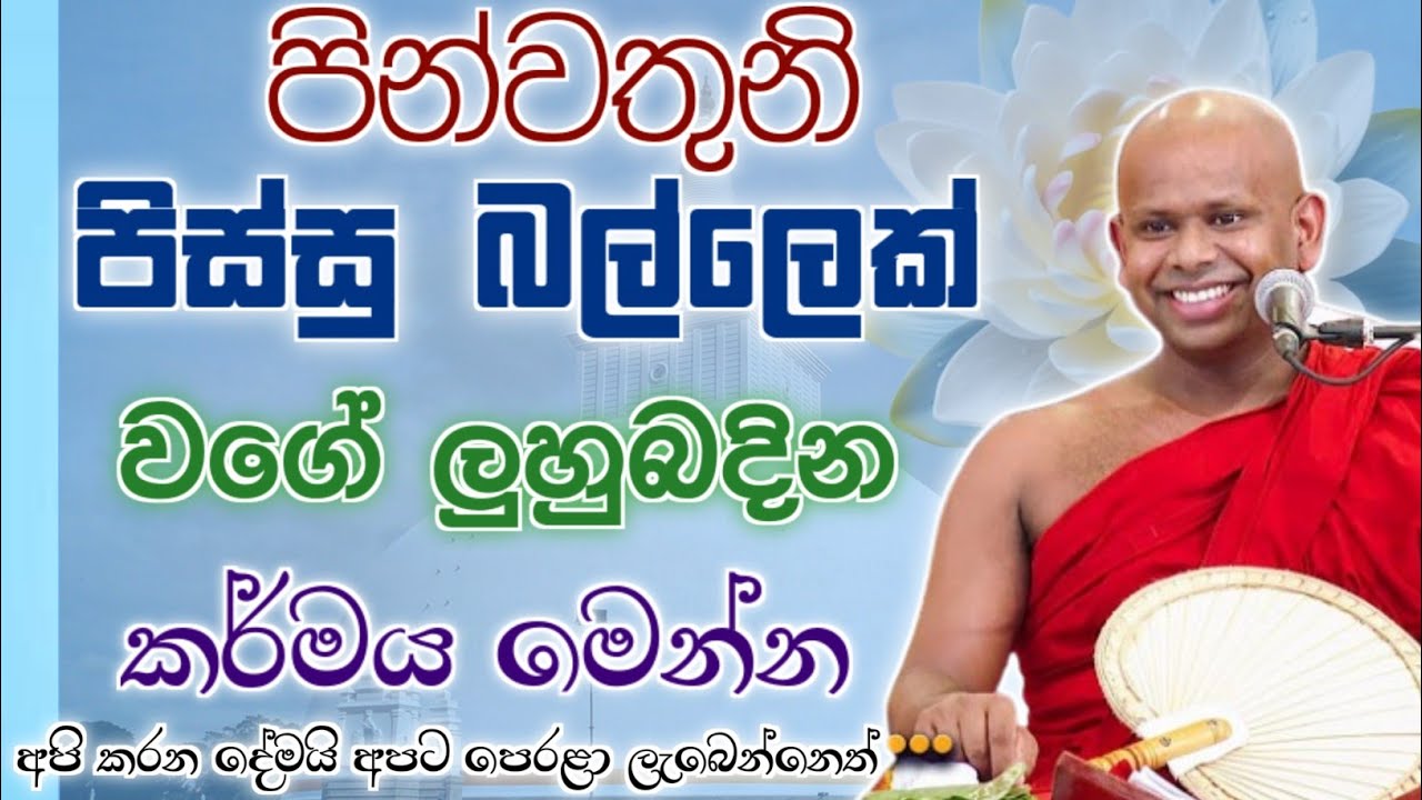 පින්වතුනි පිස්සු බල්ලෙක් වගේ ලුහු බදින කර්මය මෙන්න 🙏 / Walimada saddaseela thero🪷 