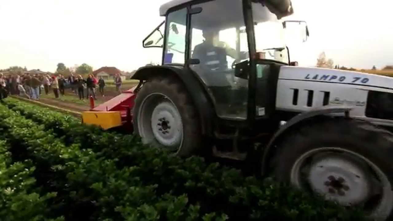 Dzien selera Fresh kal