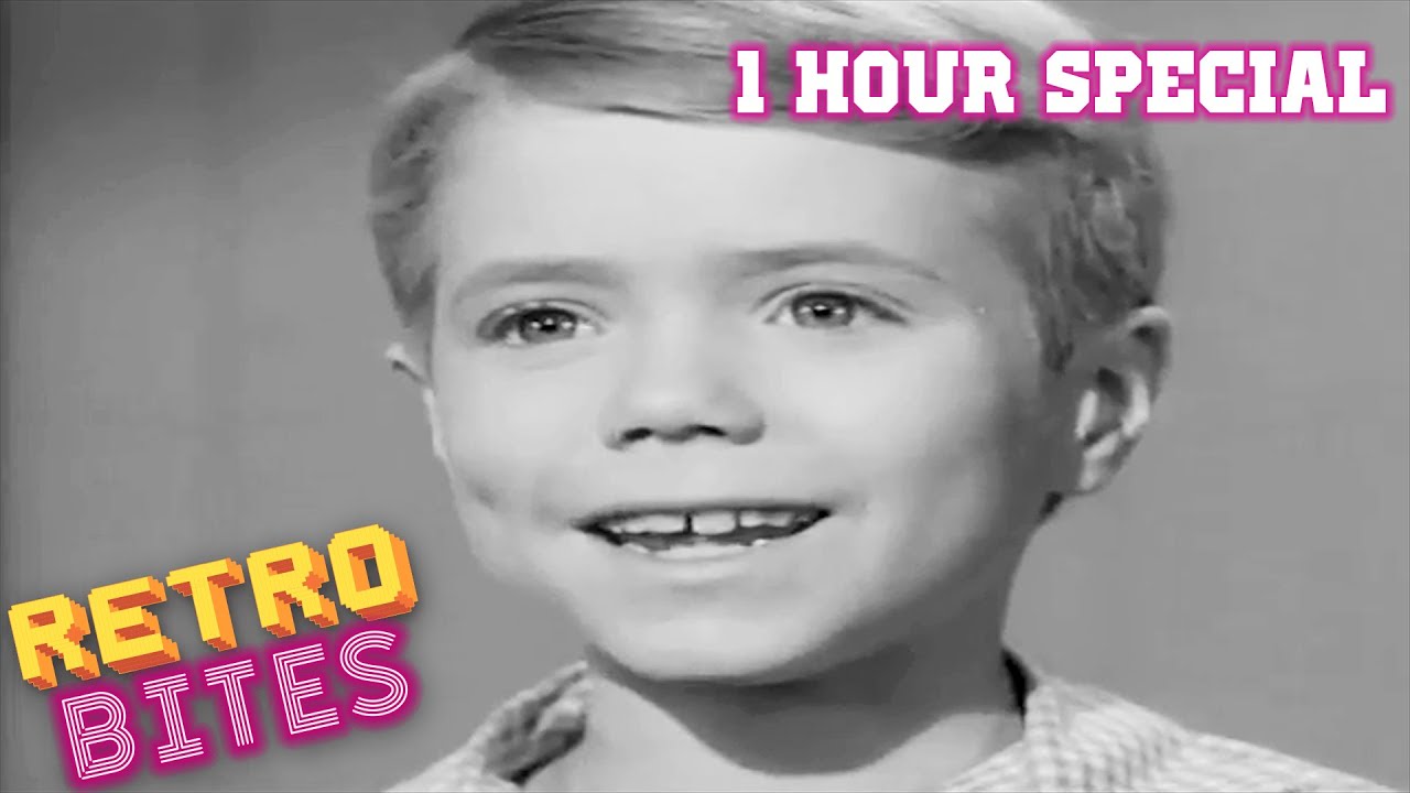 Lassie | 1 Hour Special | Lassie English Full Episodes  🐕