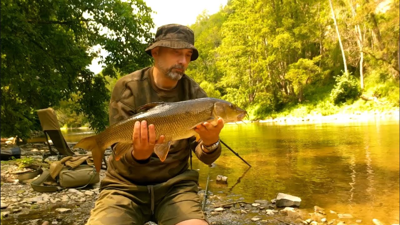 Barbel Fishing On The River Ourthe in Belgium Ep.4 | P&ecirc;che du barbeau dans l'Ourthe en Belgique Ep.4