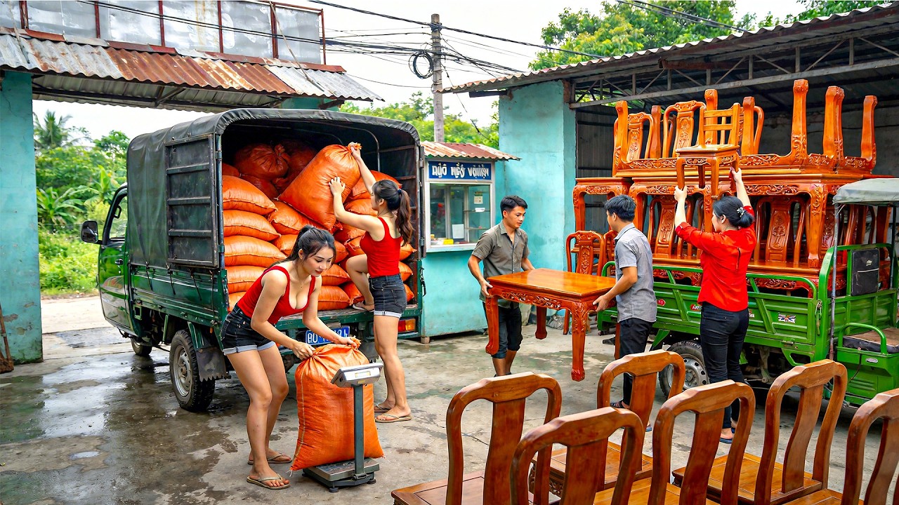 Buy Many Duckling To Raise & Visit To Traditional Countryside Market - Use Truck to Transport Rice