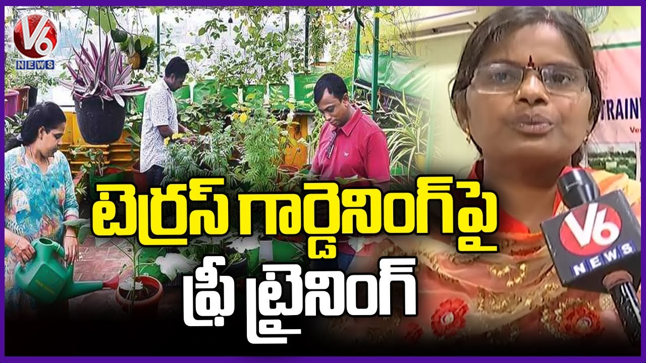 Terrace Gardening Training Conducted by Horticulture Department in Hyderabad | V6 News