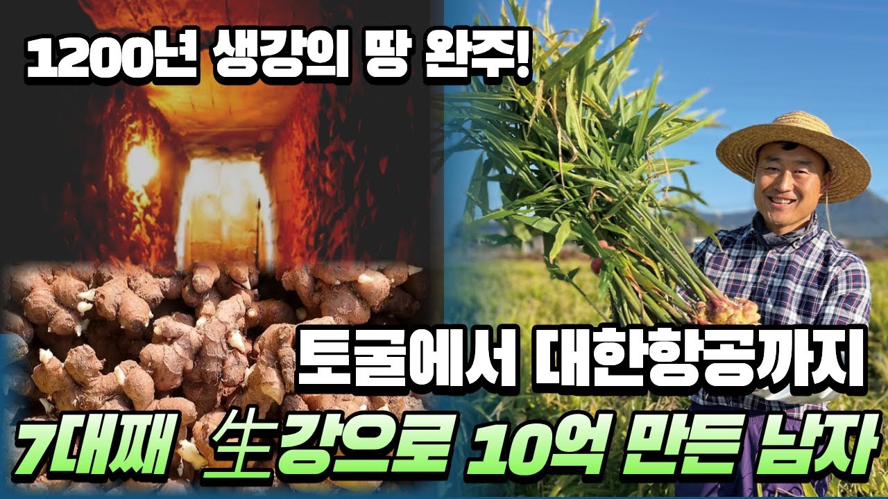 🌿 1200년 생강의 땅, 완주!🕳️ 토굴에서 ✈️대한항공까지!💥 7대째 生강으로 💰10억 만든 남자! [🙏위대한 실패]
