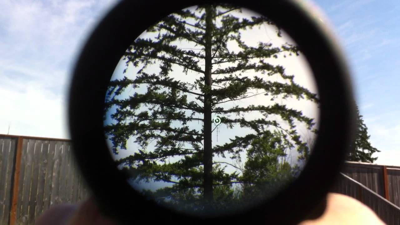 Trijicon ACOG TA31H-G