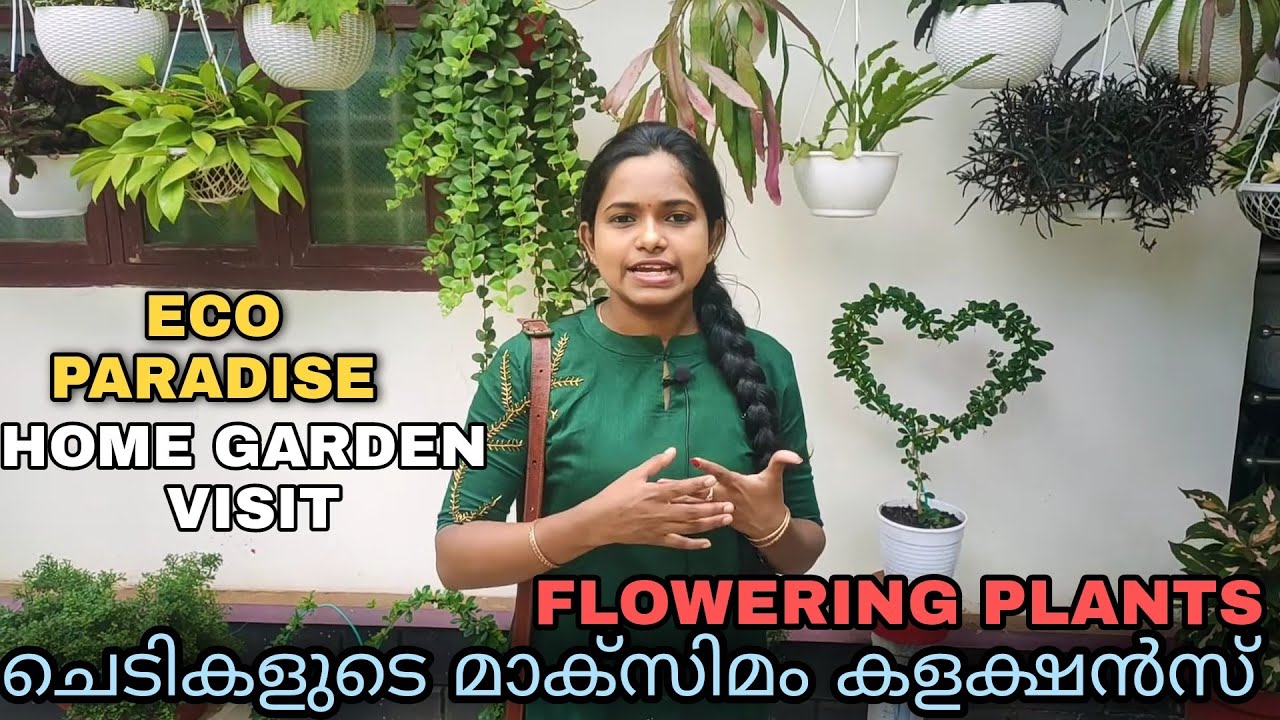 HOME GARDEN VISIT KERALA | ECO PARADISE | FLOWERING PLANTS |EDAKULAM P.O | IRINJALAKUDA