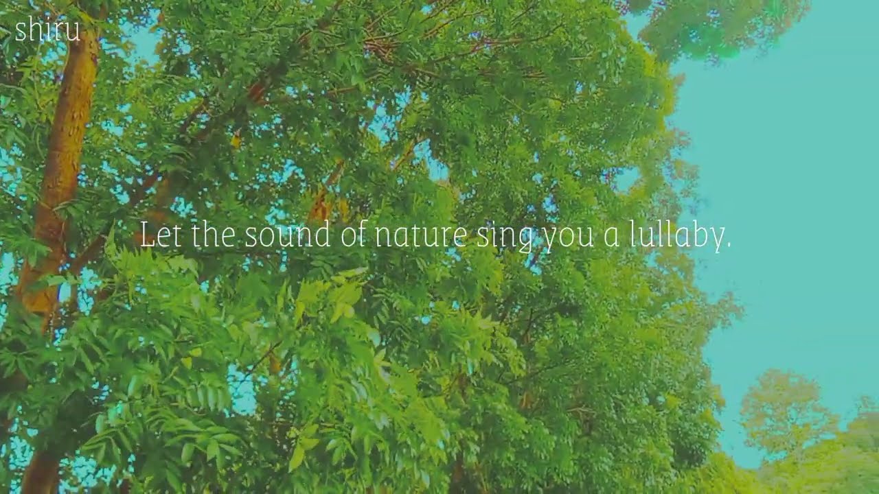 Countryside Vlog Tagalog | Relaxing at Dreamy na Araw sa Probinsya | NATURE'S LULLABY/CALM BGM🌿
