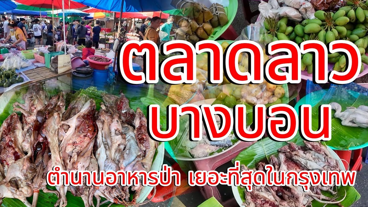 ตำนานอาหารป่า!!!ตลาดลาวบางบอน เยอะที่สุดในกรุงเทพ!!!