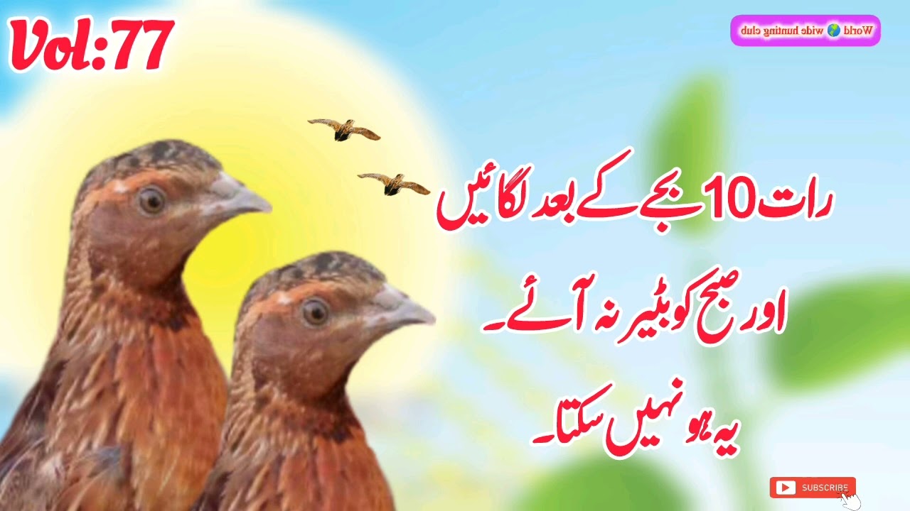 vol:77||NIGHT SOUND||RAAT KI AWAZ||رات کی اواز||batair ki awaz