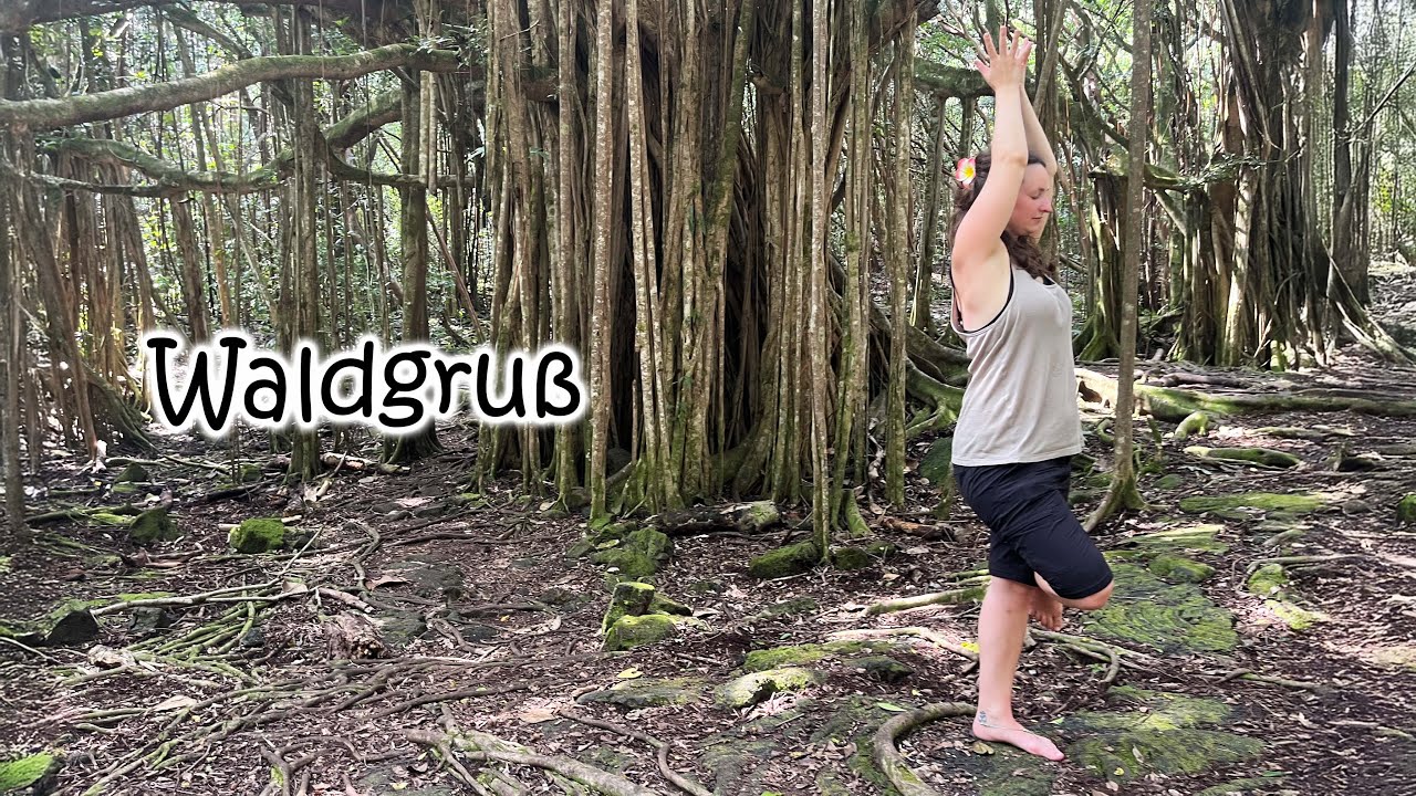 Outdoor Yoga Flow Waldgruß ohne Matte und Handgelenksbelastung 20 Minuten Yoga im Stehen