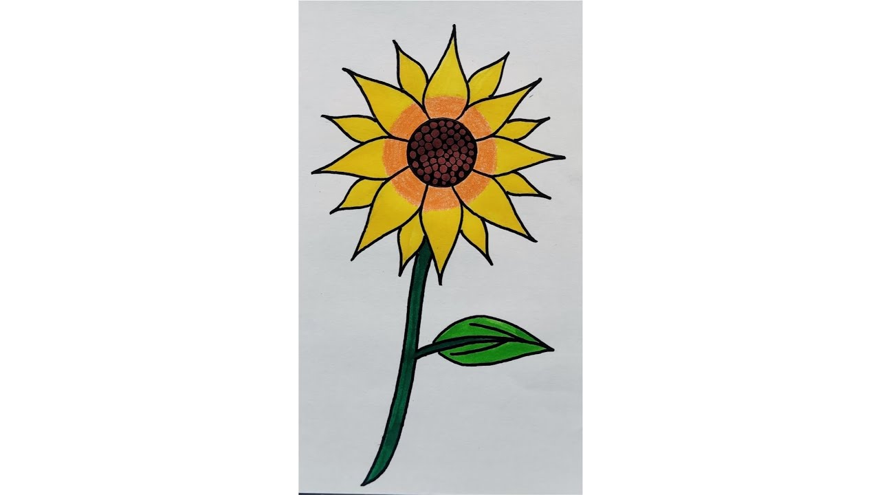 Learn How to Draw a Sunflower. || Kids Drawing ||