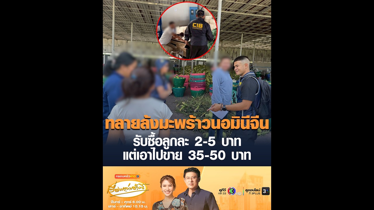 ทลายล้งมะพร้าวนอมินีจีน รับซื้อลูกละ 2-5 บาท แต่เอาไปขาย 35-50 บาท