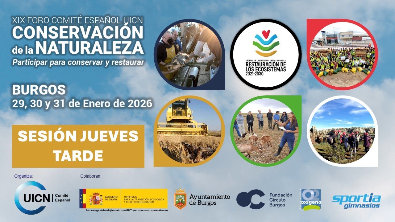XIX Foro Comité Español UICN - jueves tarde