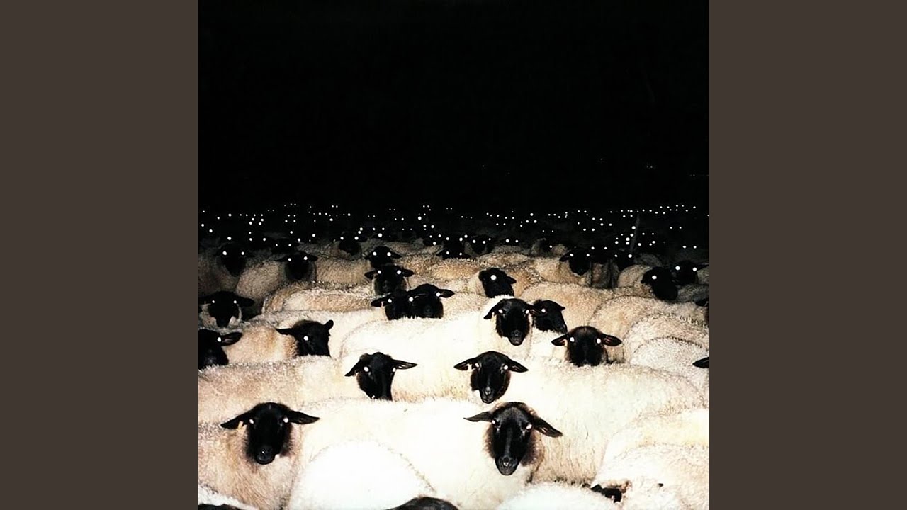 вы не по адресу